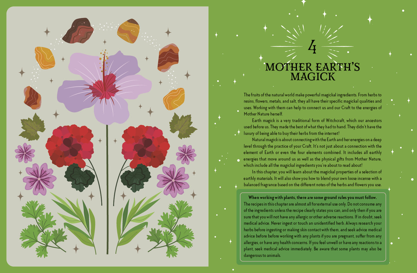 Earth Magick | The Witch of the Forest Guide to | Lindsay Squire |