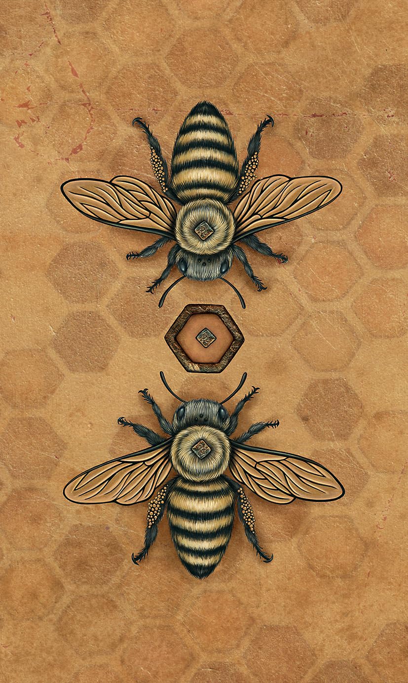 Bee Tarot Cards | by Kristoffer Hughes (Author), Nadia Turner (Author) | Divination | Fortune Telling