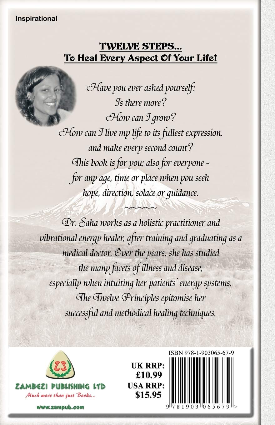 Twelve Principles Of Light, The: Healing for a Modern World Paperback | by Millie Saha