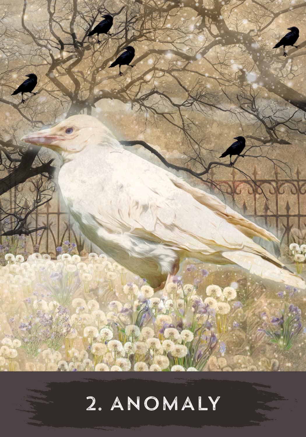 Urban Crow Oracle: A 54-Card Deck and Guidebook | by MJ Cullinane (Author) | Divination