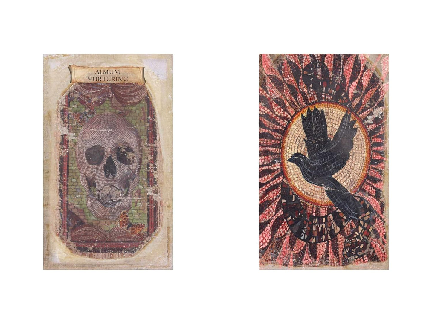SIBYLS ORACULUM | Oracle of the Black Doves of Africa | Oracle Cards |Divination