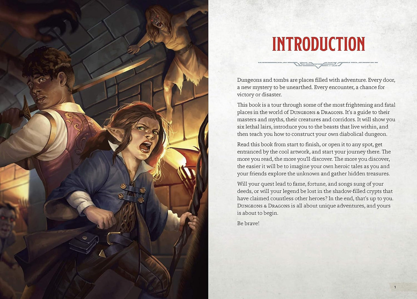 Dungeons and Tombs: A Young Adventurer's Guide (Dungeons and Dragons Young Adve) | Hardcover | 2019 | by Dungeons and Dragons (Author)