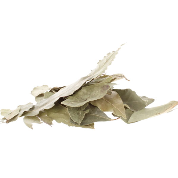 BAYLEAF | 15g | Herbs | Spell Reagent | Herbwork | Rootwork |
