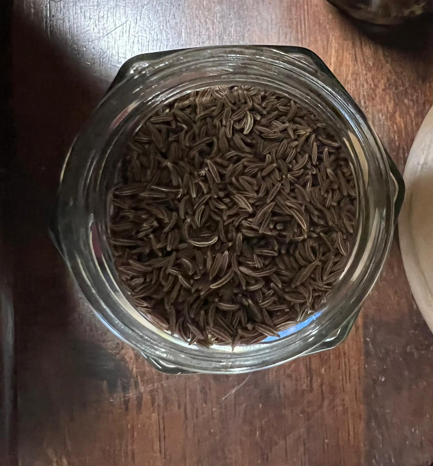 Caraway Seeds | 100g in Jar | Herb | Herbwork | Spell Reagent