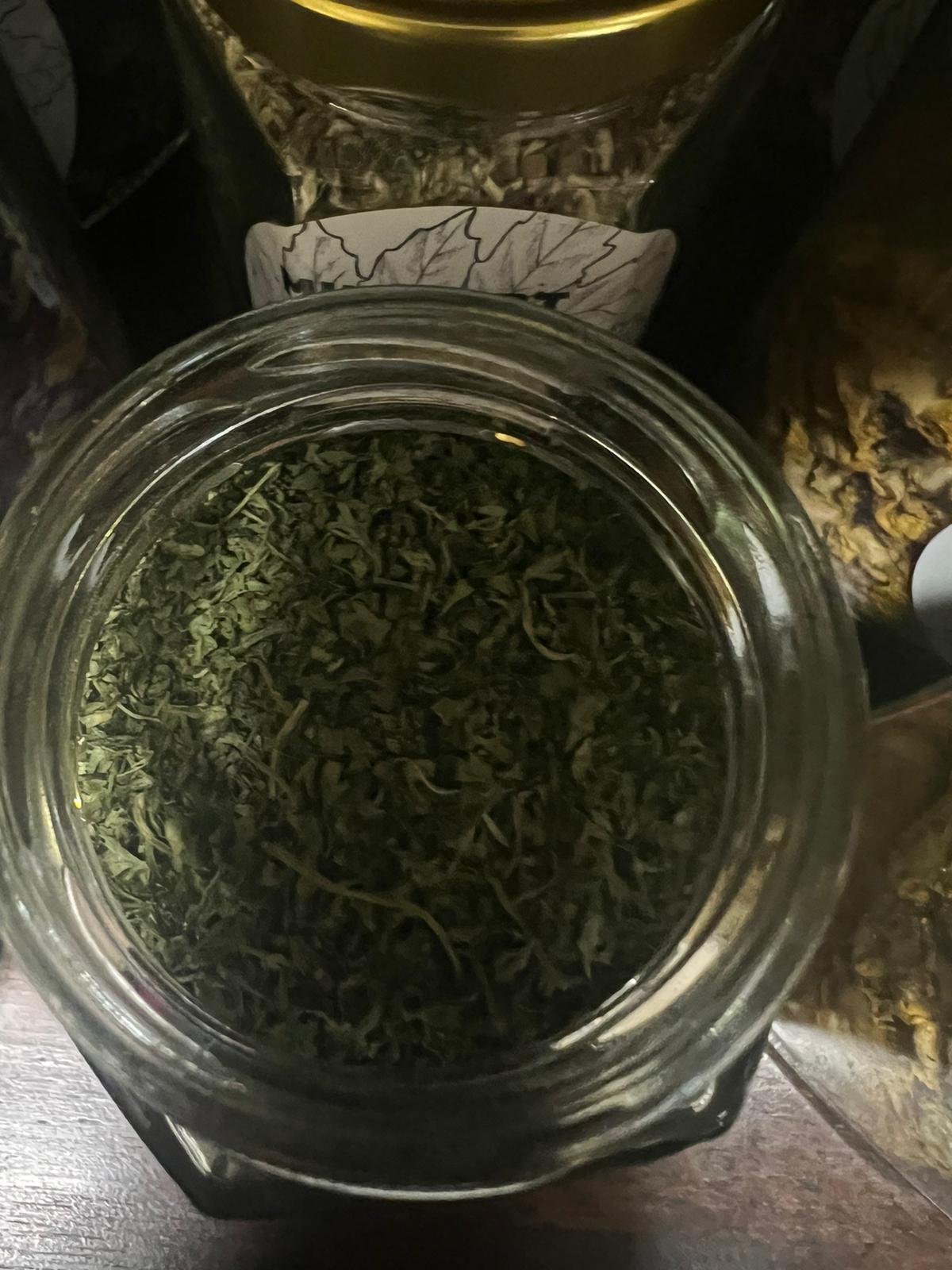 CHERVIL LEAF | 20g in Jar | Herb Work | Root Work | Herbal Tea