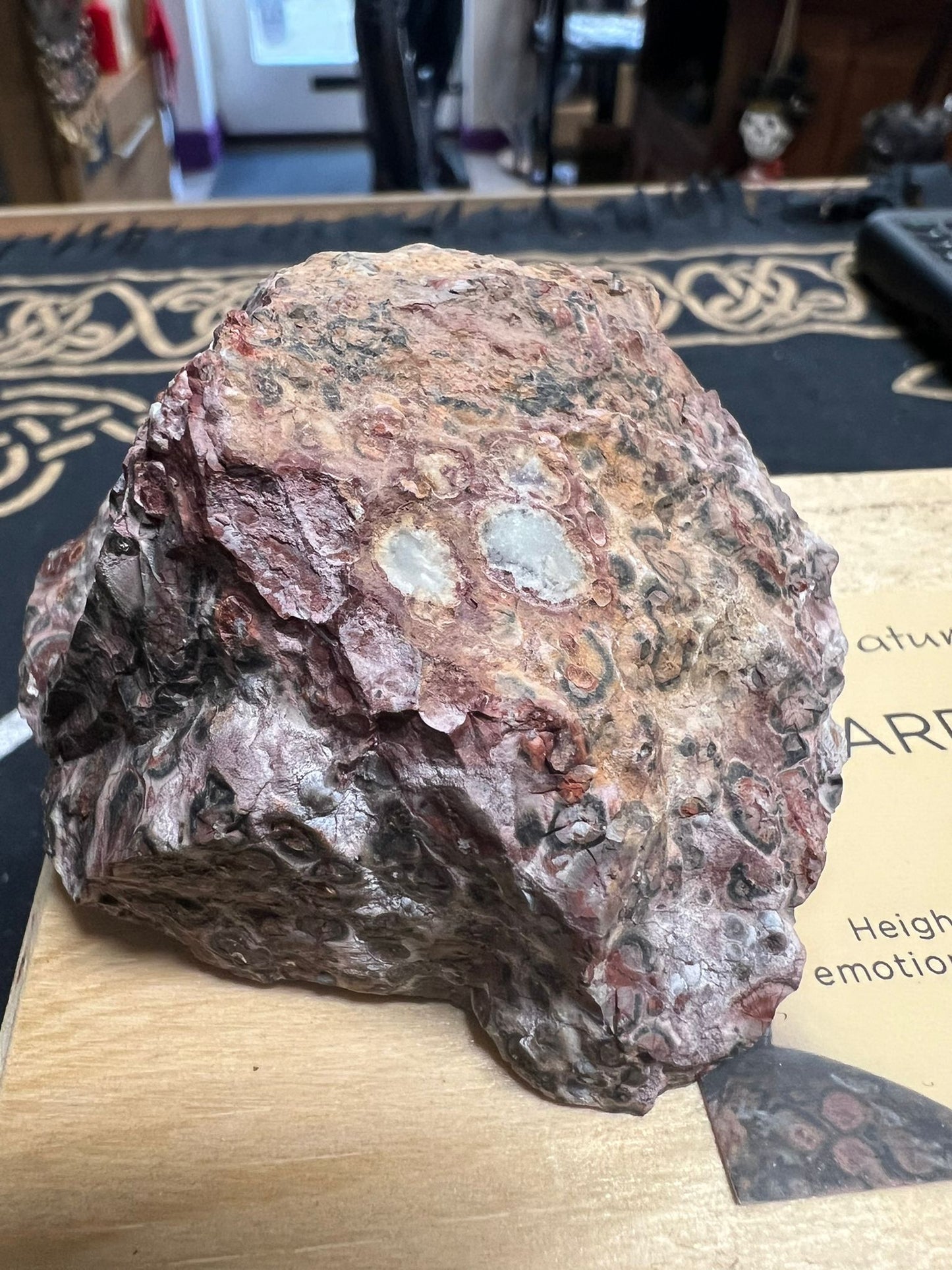 Leopard Skin Jasper Rough Stone| Metaphysical | Crystal Healing