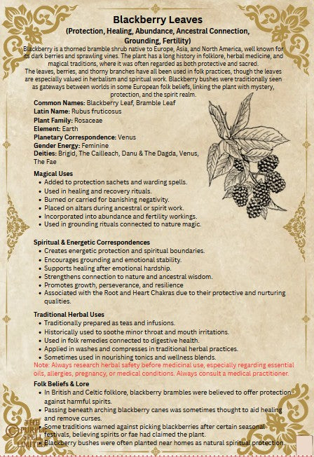 Spell Page Blackberry Leaves| Grimoire | Book of Shadows | Book of Spells | Spell Ingredients | Herbwork | Root Work