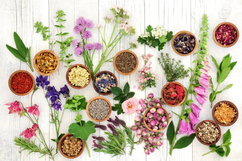 Nagkesar Uses and Benefits in Skin care Nagkesar Uses and Benefits in Skin care