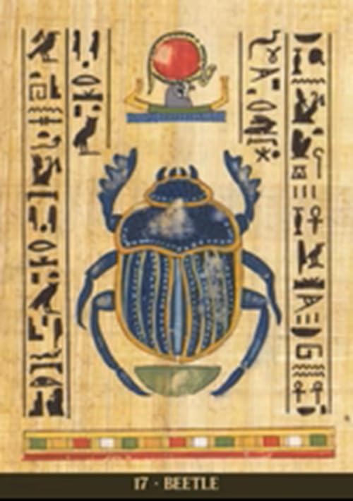 Egyptian Sacred Animals Oracle Cards | by Silvana Alasia (Author) | Divination