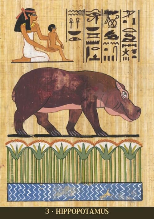 Egyptian Sacred Animals Oracle Cards | by Silvana Alasia (Author) | Divination