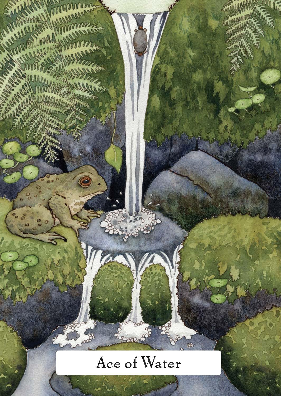 The Witches' Wisdom Tarot (Standard Edition): A 78-Card Deck and Guidebook Cards | 2023 | by Phyllis Curott (Author), Danielle Barlow (Illustrator)