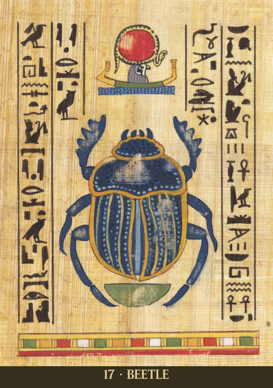 Egyptian Sacred Animals Oracle Cards | by Silvana Alasia (Author) | Divination