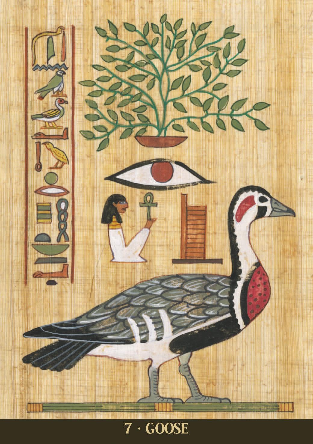 Egyptian Sacred Animals Oracle Cards | by Silvana Alasia (Author) | Divination