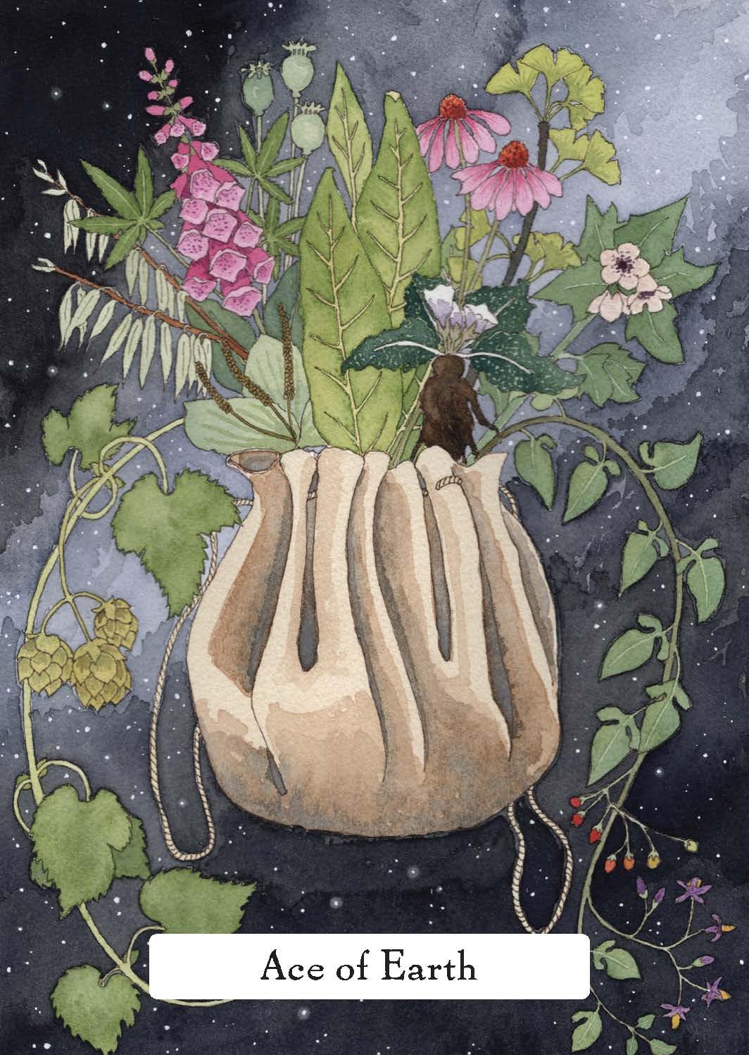 The Witches' Wisdom Tarot (Standard Edition): A 78-Card Deck and Guidebook Cards | 2023 | by Phyllis Curott (Author), Danielle Barlow (Illustrator)