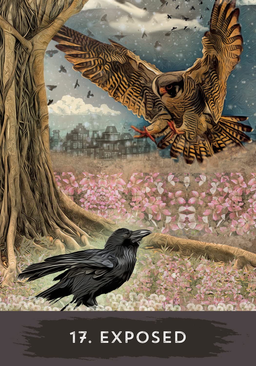 Urban Crow Oracle: A 54-Card Deck and Guidebook | by MJ Cullinane (Author) | Divination
