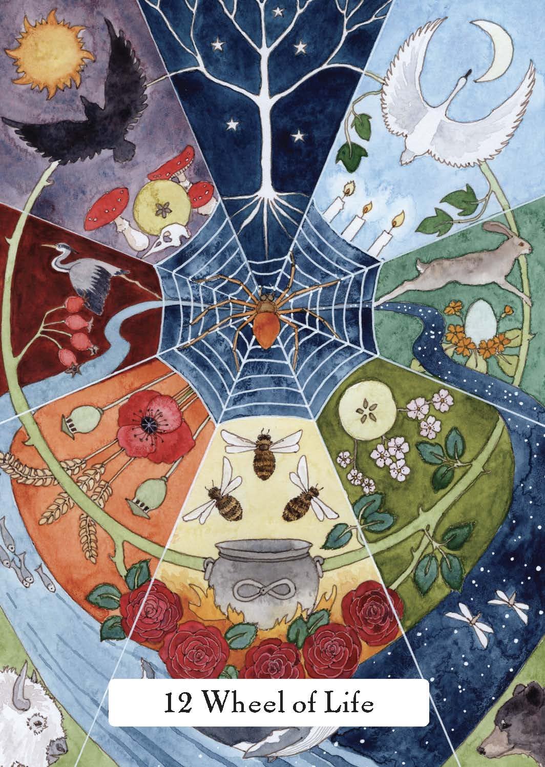 The Witches' Wisdom Tarot (Standard Edition): A 78-Card Deck and Guidebook Cards | 2023 | by Phyllis Curott (Author), Danielle Barlow (Illustrator)