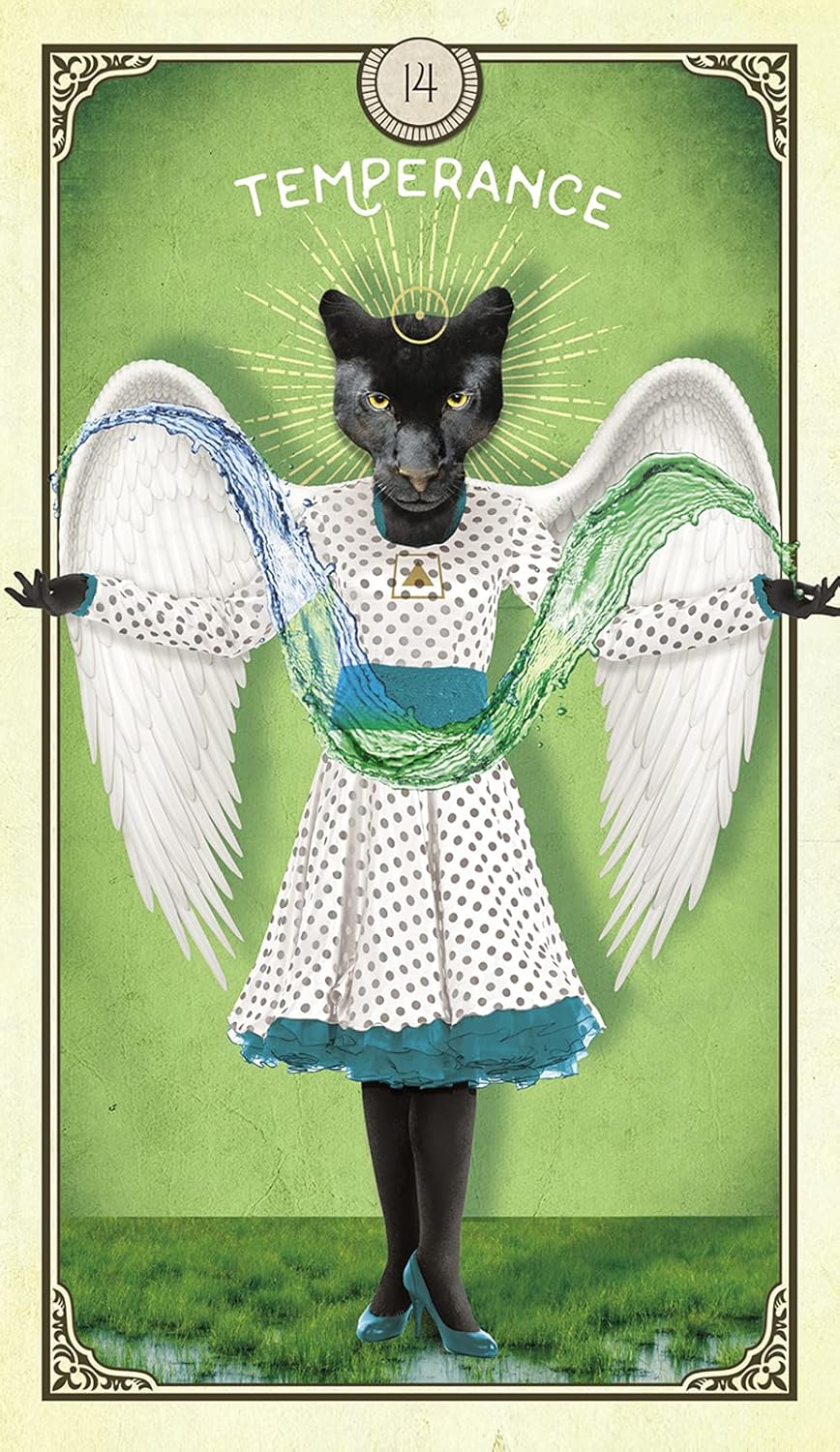 The Tarot of Curious Creatures: A 78 (+1) Card Deck and Guidebook Cards | Sept. 2021 | by Chris-Anne | Divination | Fortunetelling