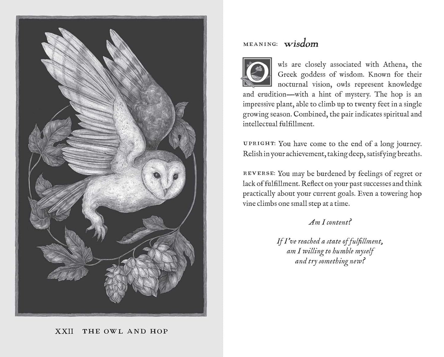 Woodland Wardens: Oracle Deck and Guidebook | 2022 | by Jessica Roux | Divination | Fortune Telling
