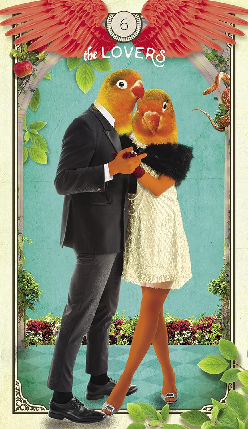 The Tarot of Curious Creatures: A 78 (+1) Card Deck and Guidebook Cards | Sept. 2021 | by Chris-Anne | Divination | Fortunetelling