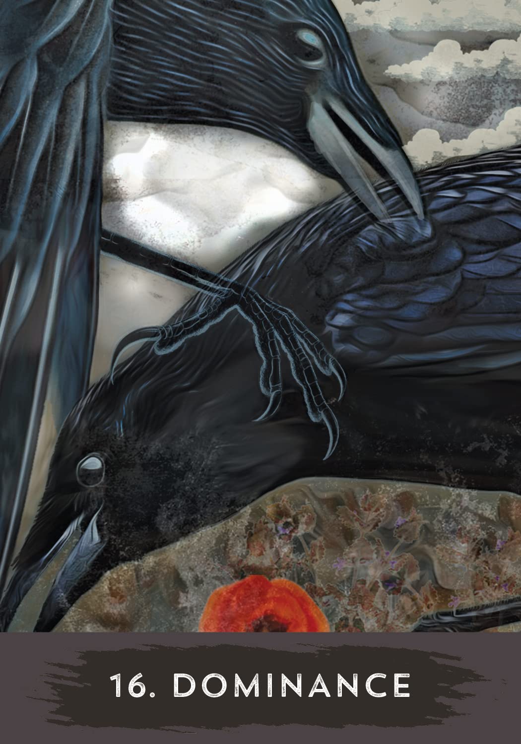 Urban Crow Oracle: A 54-Card Deck and Guidebook | by MJ Cullinane (Author) | Divination