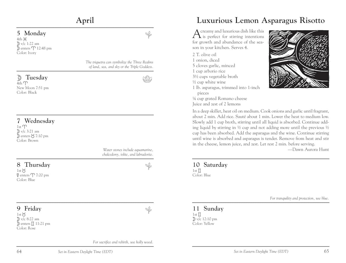 Llewellyn's 2027 Witches' Datebook | by Llewellyn Llewellyn (Author), Majorie Gatson (Author) | 2027 Diary