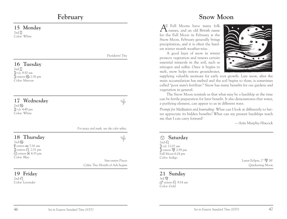 Llewellyn's 2027 Witches' Datebook | by Llewellyn Llewellyn (Author), Majorie Gatson (Author) | 2027 Diary