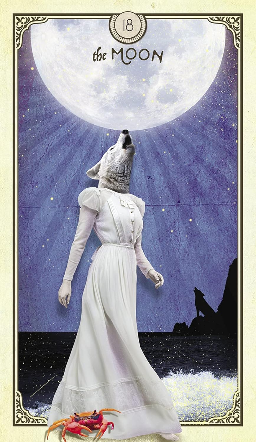 The Tarot of Curious Creatures: A 78 (+1) Card Deck and Guidebook Cards | Sept. 2021 | by Chris-Anne | Divination | Fortunetelling