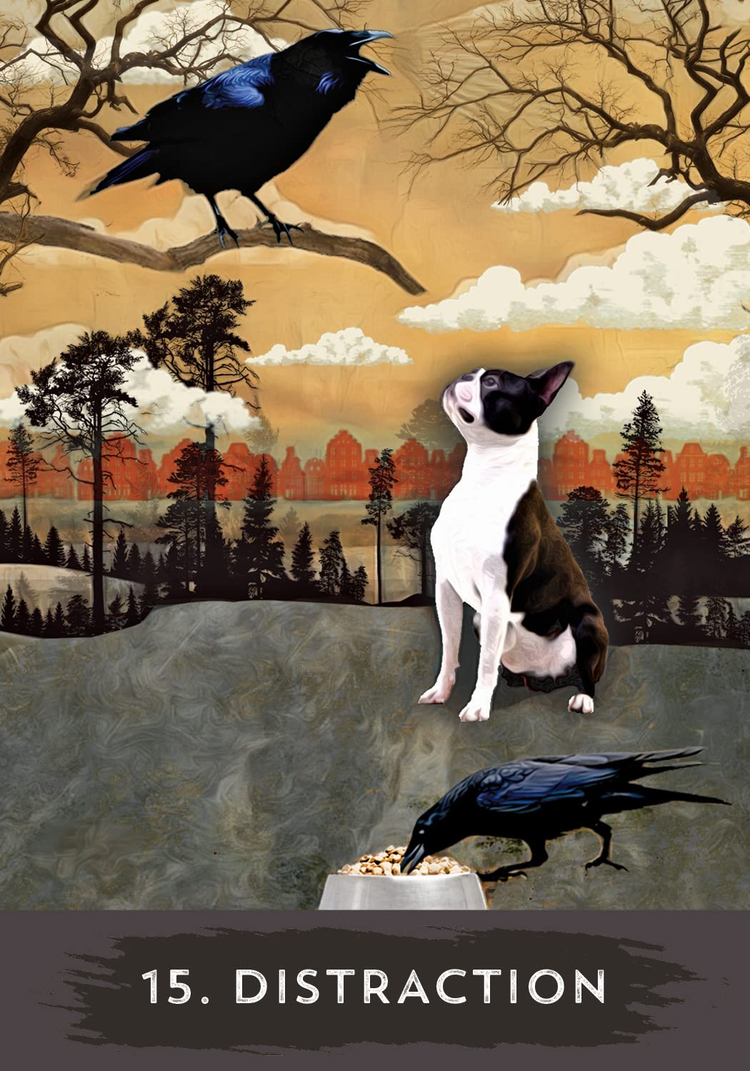 Urban Crow Oracle: A 54-Card Deck and Guidebook | by MJ Cullinane (Author) | Divination