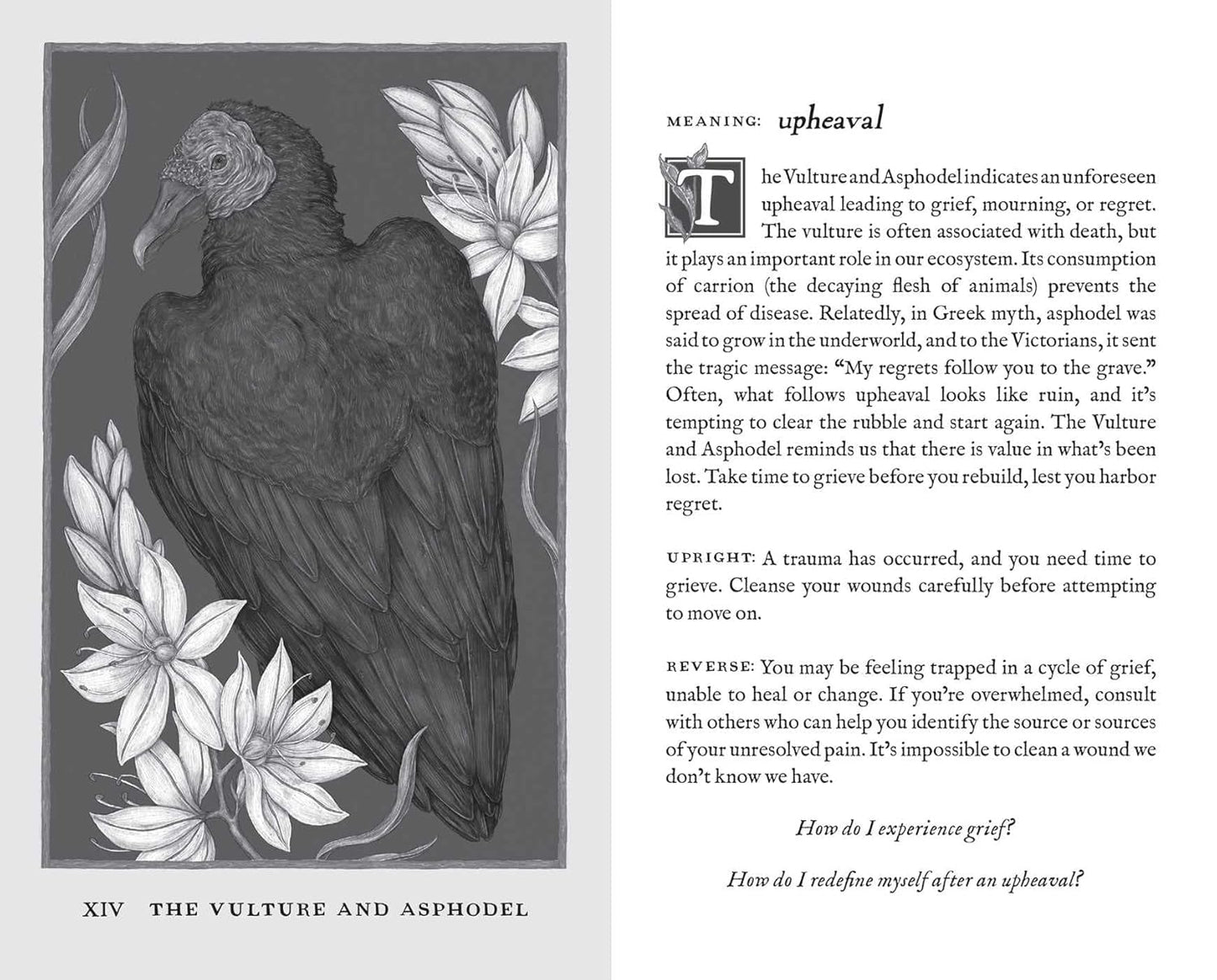 Woodland Wardens: Oracle Deck and Guidebook | 2022 | by Jessica Roux | Divination | Fortune Telling