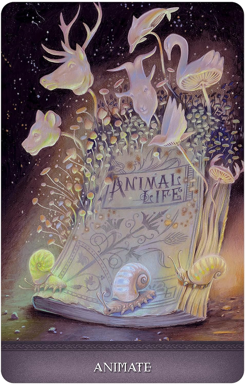 Land Of Giants Oracle Cards | 2024 | by Steven Hutton (Author) | Divination | Manifestation