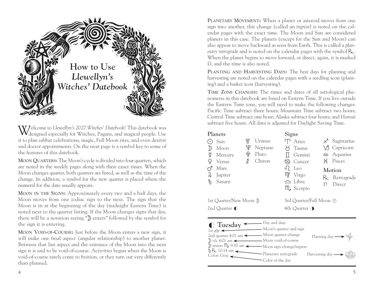 Llewellyn's 2027 Witches' Datebook | by Llewellyn Llewellyn (Author), Majorie Gatson (Author) | 2027 Diary