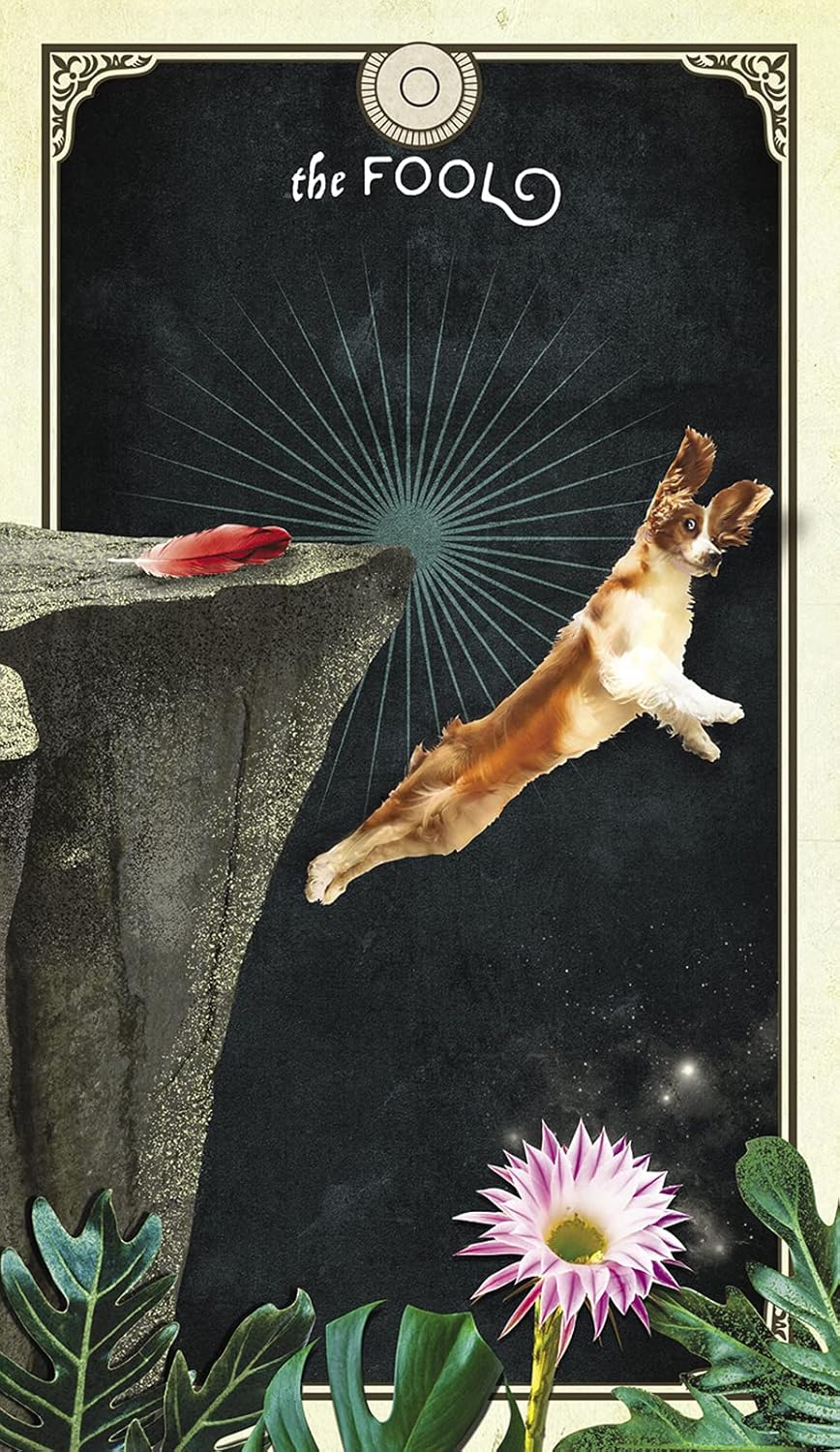 The Tarot of Curious Creatures: A 78 (+1) Card Deck and Guidebook Cards | Sept. 2021 | by Chris-Anne | Divination | Fortunetelling