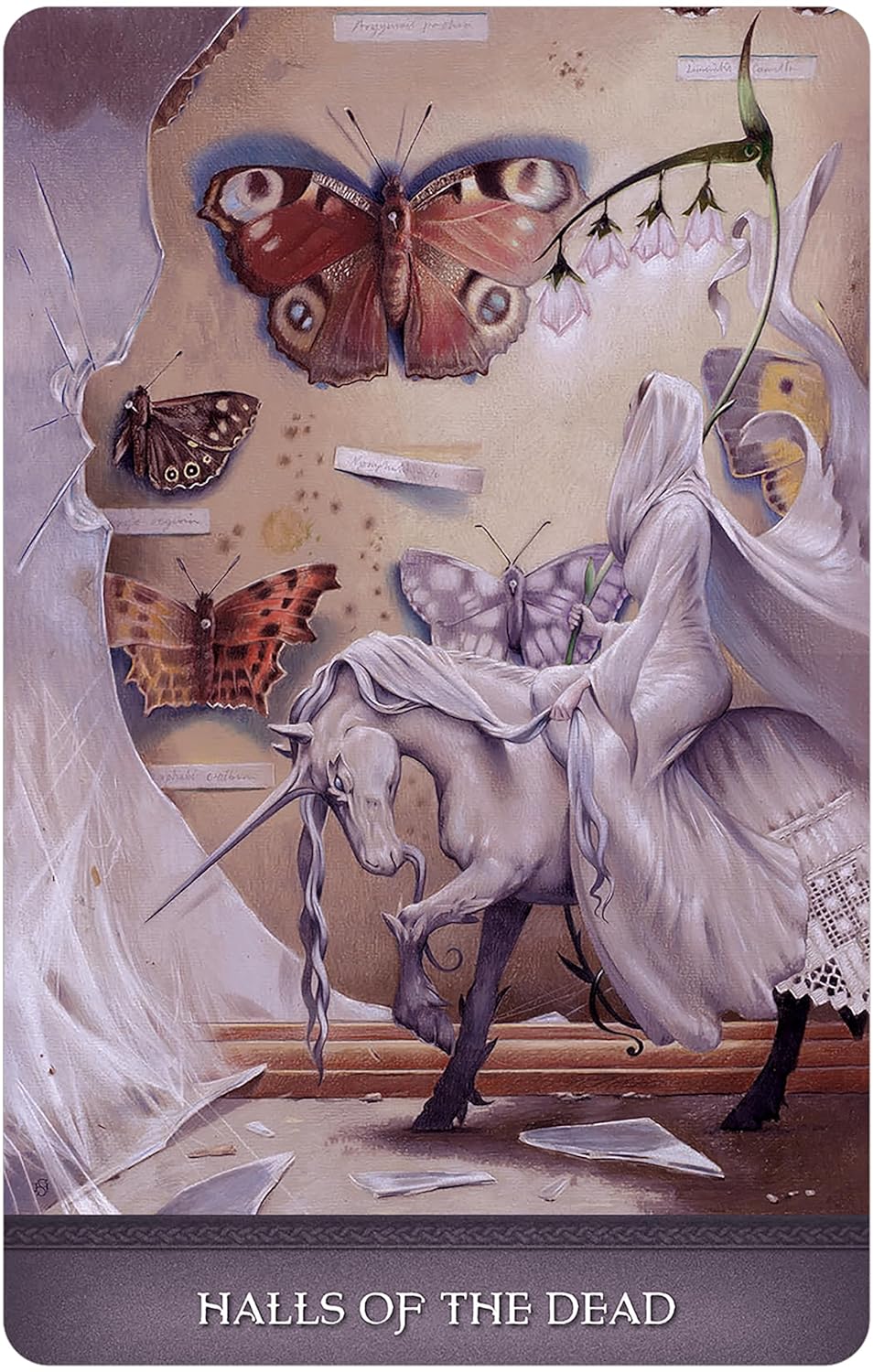 Land Of Giants Oracle Cards | 2024 | by Steven Hutton (Author) | Divination | Manifestation