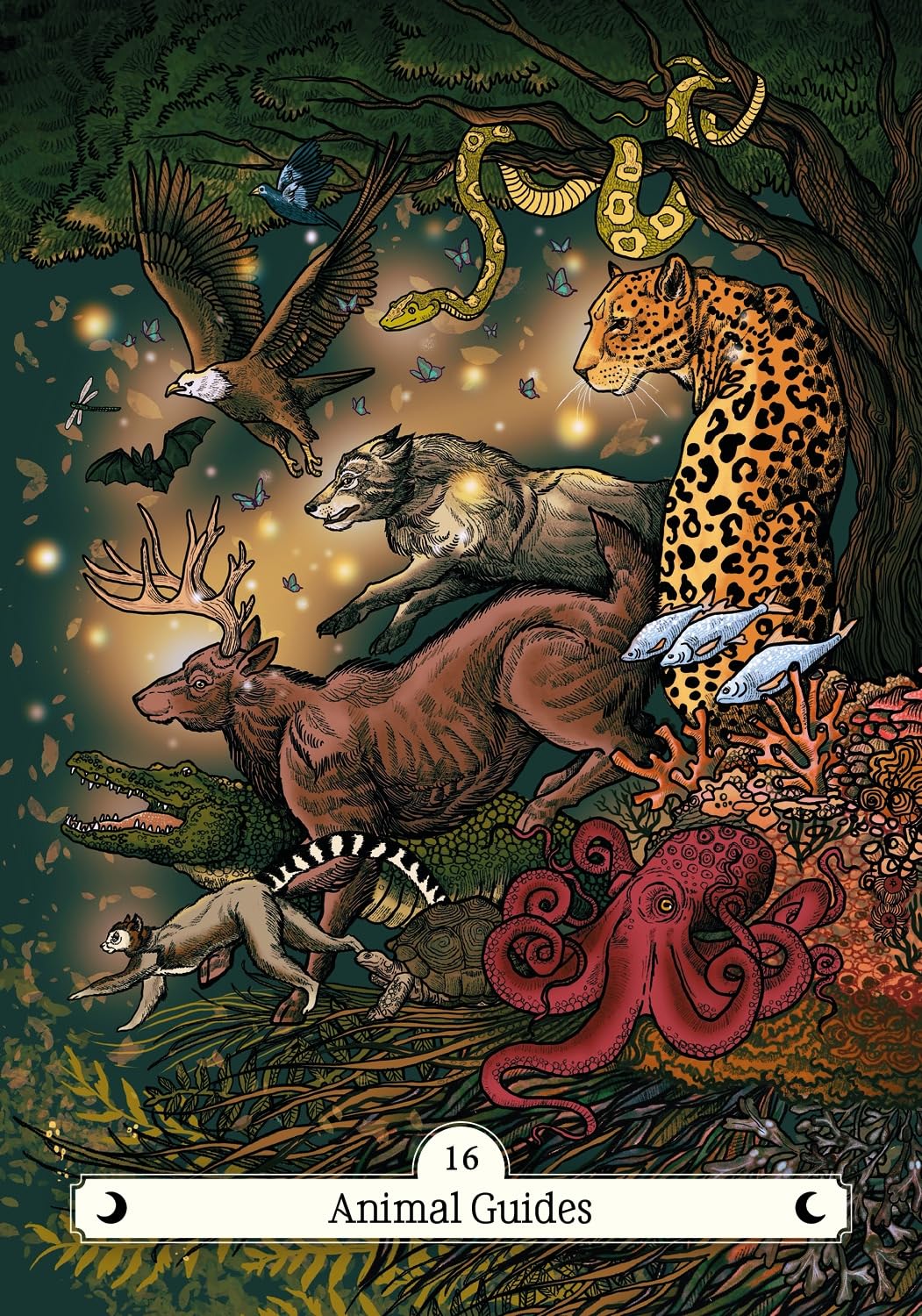 The Witch's Way Home Oracle: A 44-Card Deck and Guidebook by Emma Griffin (Author), Roma May Design (Illustrator)
