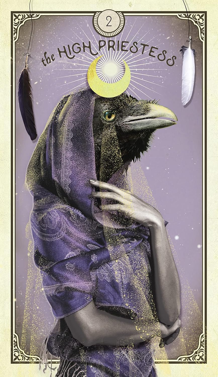The Tarot of Curious Creatures: A 78 (+1) Card Deck and Guidebook Cards | Sept. 2021 | by Chris-Anne | Divination | Fortunetelling