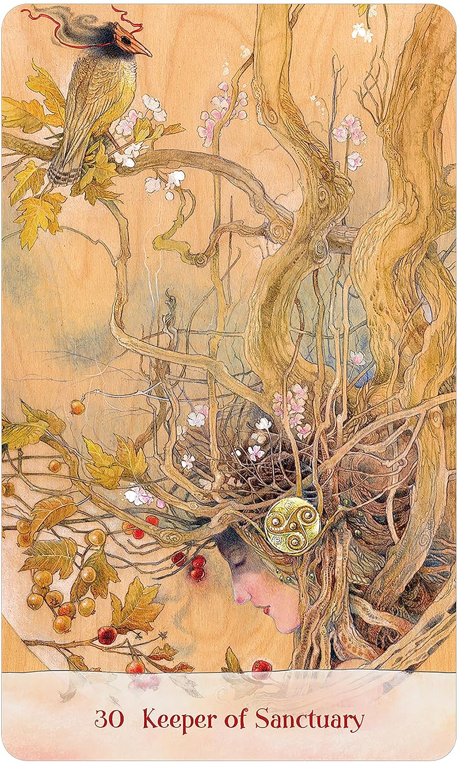 Treekeepers Oracle Cards |  Angi Sullins (Author) | Stephanie Law (Author) | Divination | Fortune Telling