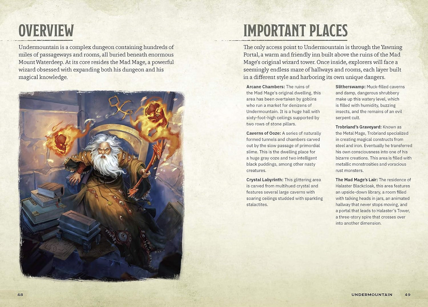 Dungeons and Tombs: A Young Adventurer's Guide (Dungeons and Dragons Young Adve) | Hardcover | 2019 | by Dungeons and Dragons (Author)