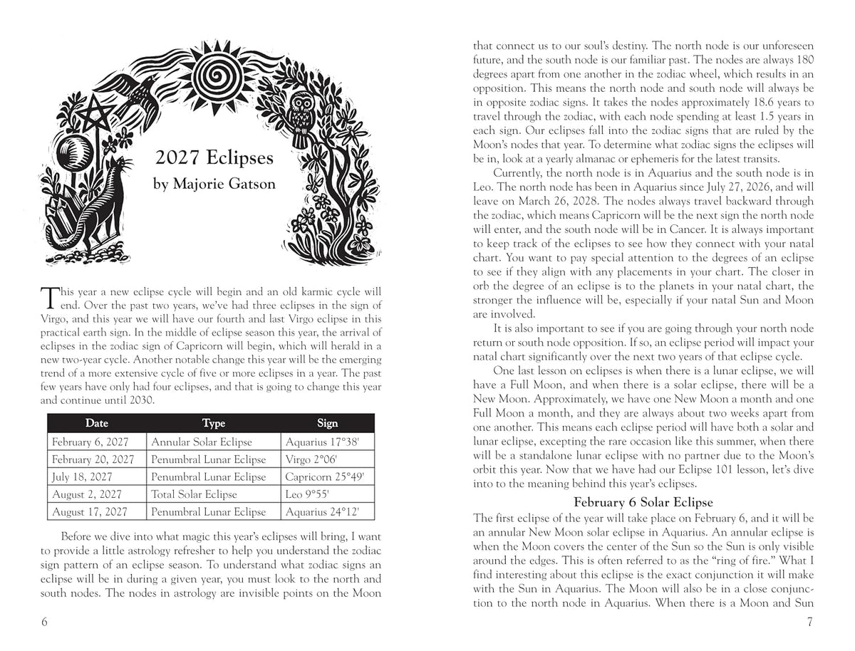 Llewellyn's 2027 Witches' Datebook | by Llewellyn Llewellyn (Author), Majorie Gatson (Author) | 2027 Diary