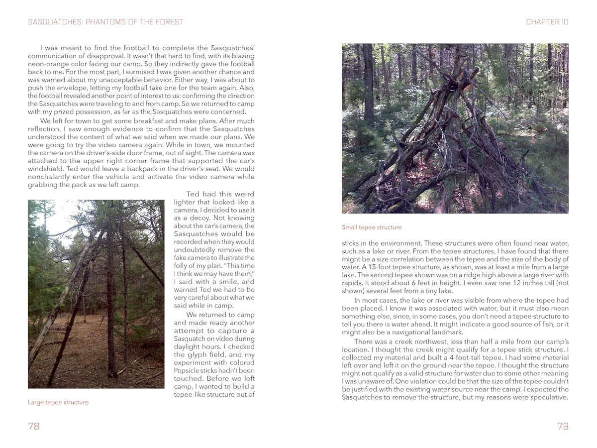 Sasquatches: Phantoms of the Forest | by Joseph C. Stewart (Author) | Folklore