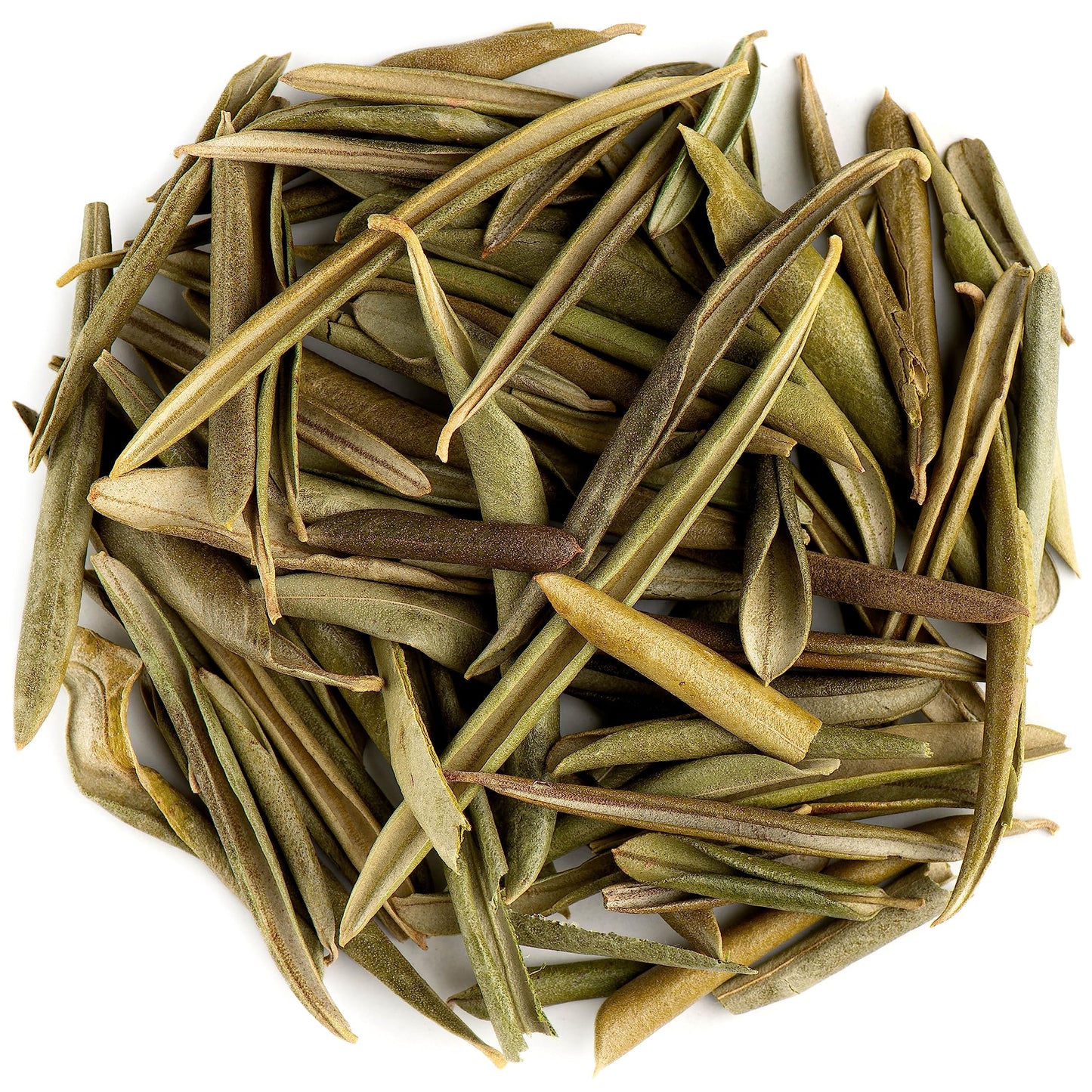 Olive Leaves | 20g | Herbs | Spell Reagent | Herbwork | Rootwork |
