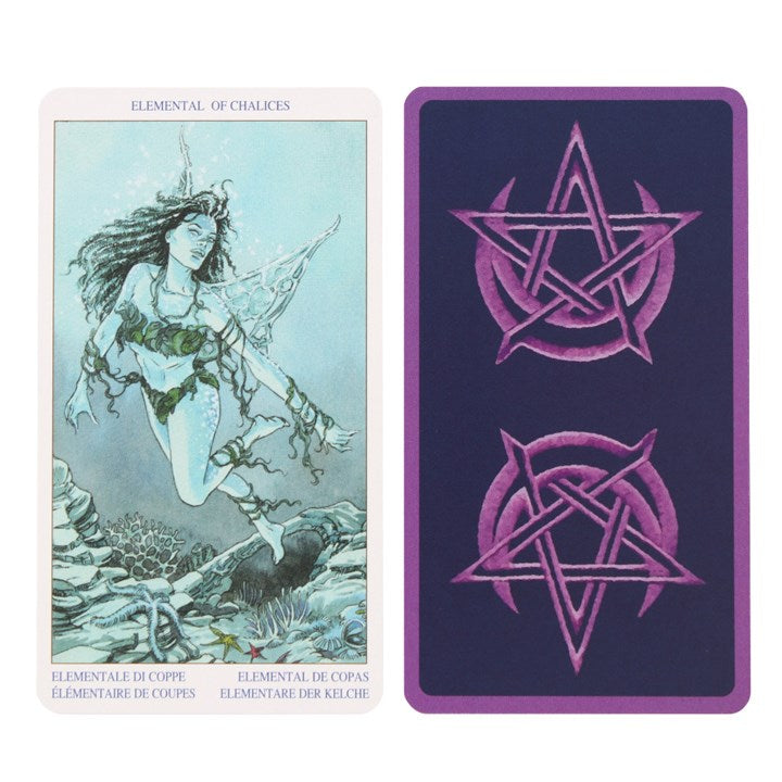 Pagan Tarot Deck | Divination | Fortune Telling | Gina Pace, Luca Raimondo, Cristiano Spadon