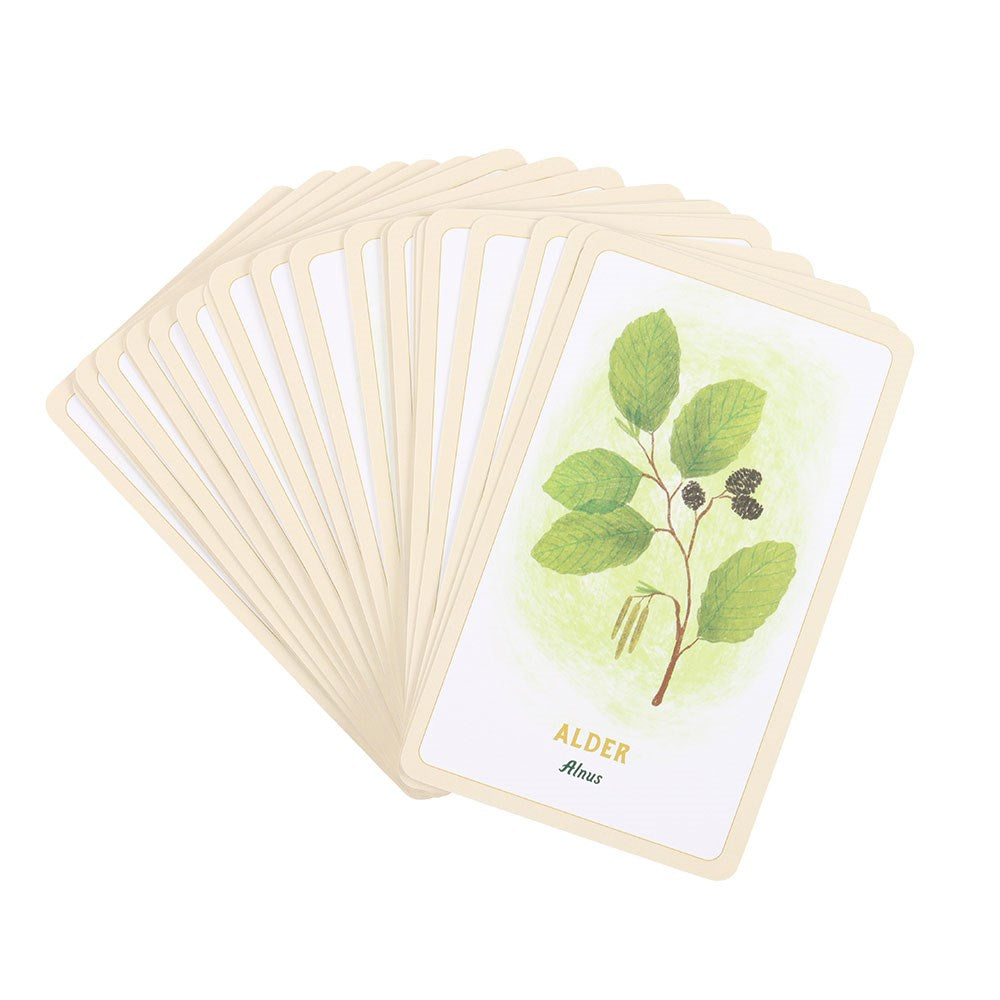 Forest Magic Oracle: A Deck and Guidebook for Green Witches (RP Studio) Cards | 2024 | by Nikki Van De Car (Author), Elin Manon (Illustrator)