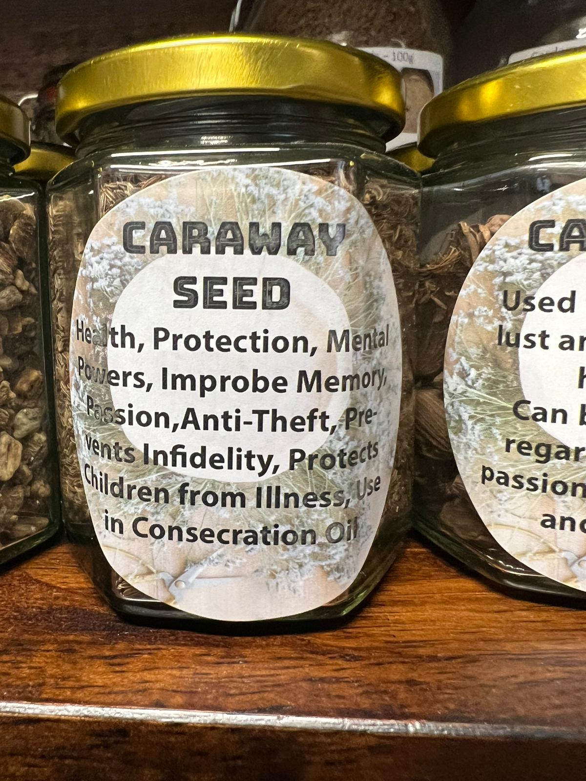 Caraway Seeds | 100g in Jar | Herb | Herbwork | Spell Reagent