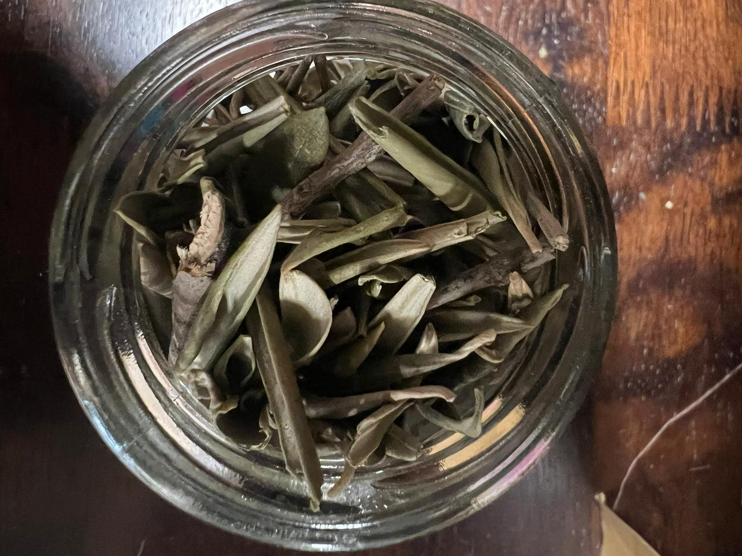 Olive Leaves | 20g | Herbs | Spell Reagent | Herbwork | Rootwork |