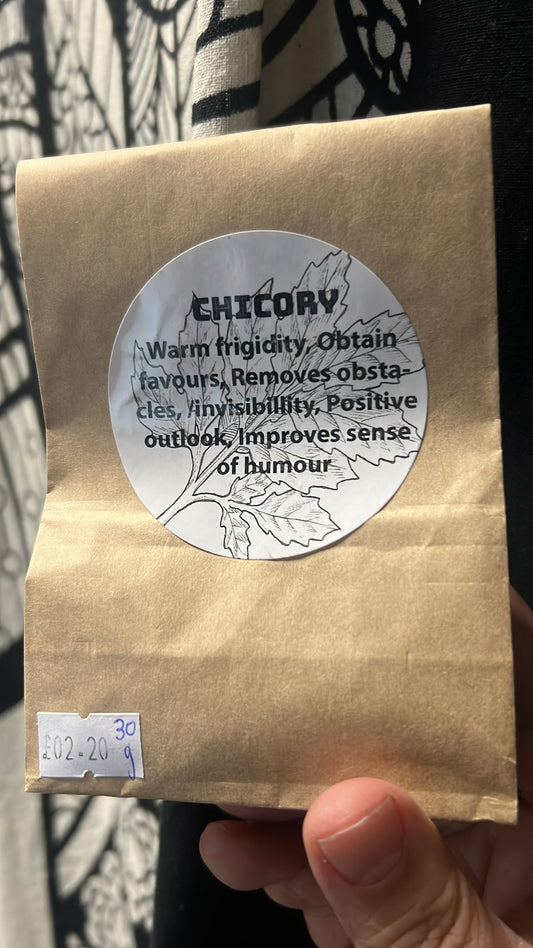 CHICORY | 30g | Herb Work | Root Work | Physical Witchcraft