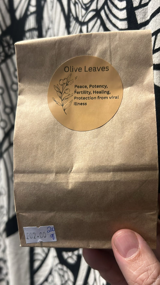 Olive Leaves | 20g | Herbs | Spell Reagent | Herbwork | Rootwork |