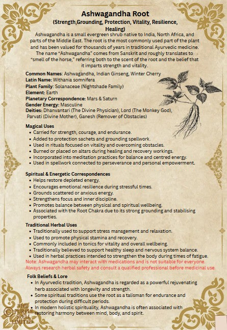 Spell Page Ashwagandha Root| Grimoire | Book of Shadows | Book of Spells | Spell Ingredients | Herbwork | Root Work