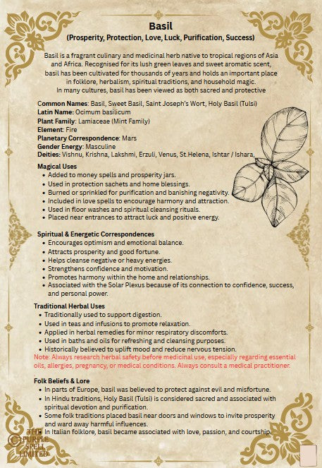 Spell Page Basil | Grimoire | Book of Shadows | Book of Spells | Spell Ingredients | Herbwork | Root Work