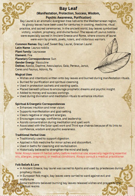 Spell Page Bay Leaf | Grimoire | Book of Shadows | Book of Spells | Spell Ingredients | Herbwork | Root Work
