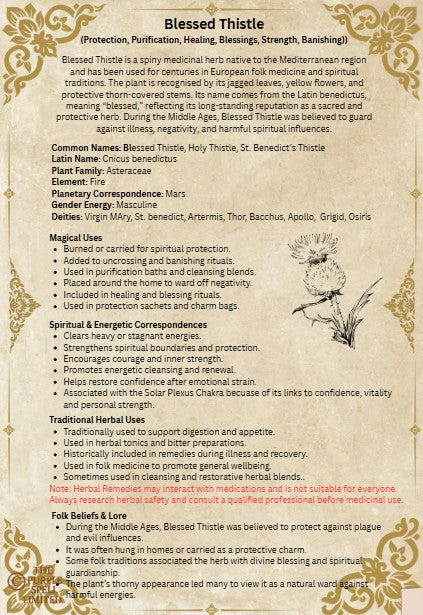 Spell Page Blessed Thistle | Grimoire | Book of Shadows | Book of Spells | Spell Ingredients | Herbwork | Root Work